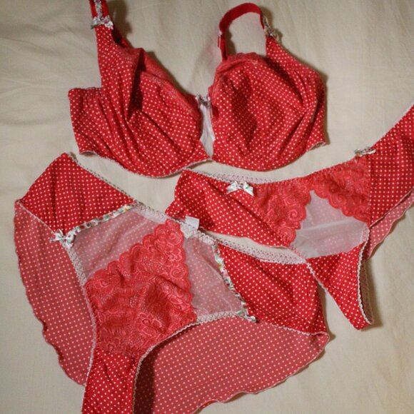 Ewa Michalak Other - Ewa Michalak BM Pin Up Doll Bra and panties 95G 48